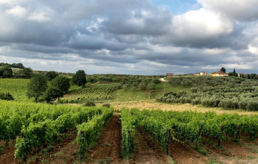 deluxetravelclub_hotele na weekend w toskanii-29_3.jpg